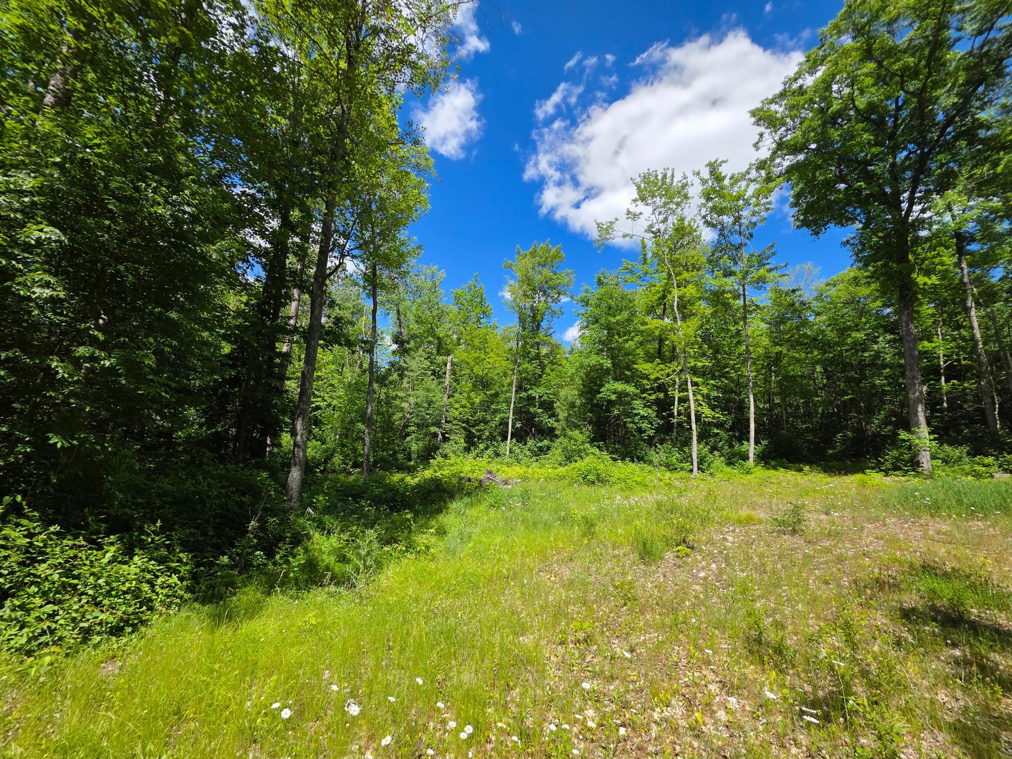 N11478 Cottage Road Tomahawk, WI 54487 - Photo 8 of 27 Gallery Image 8