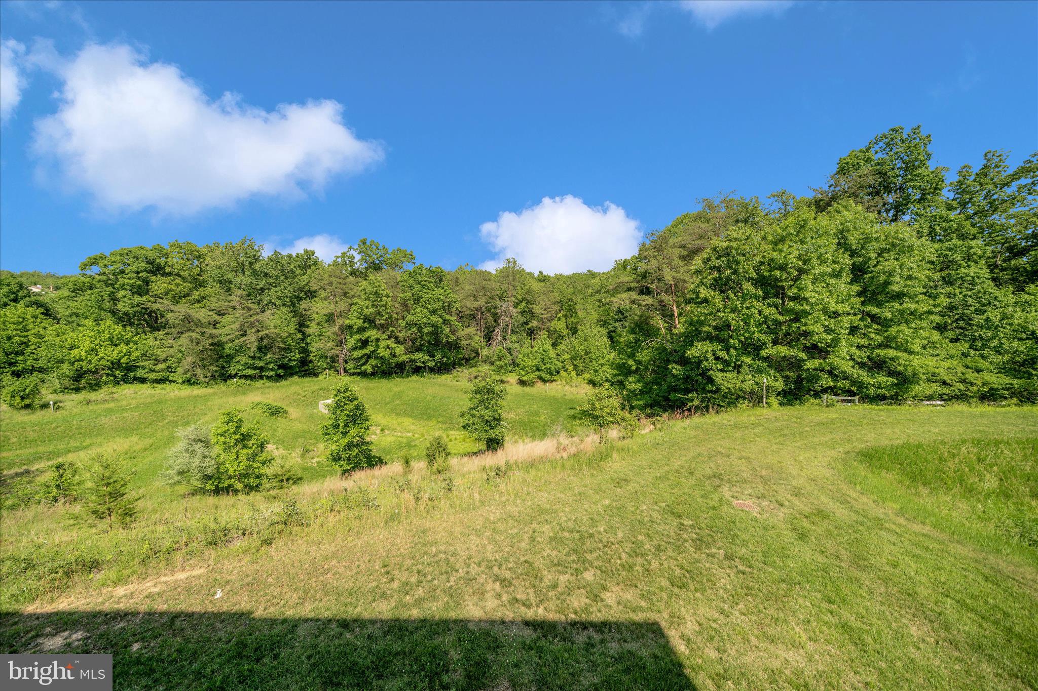 3827 Cullingworth Road Burtonsville, MD 20866 - Photo 54 of 72 Deck View