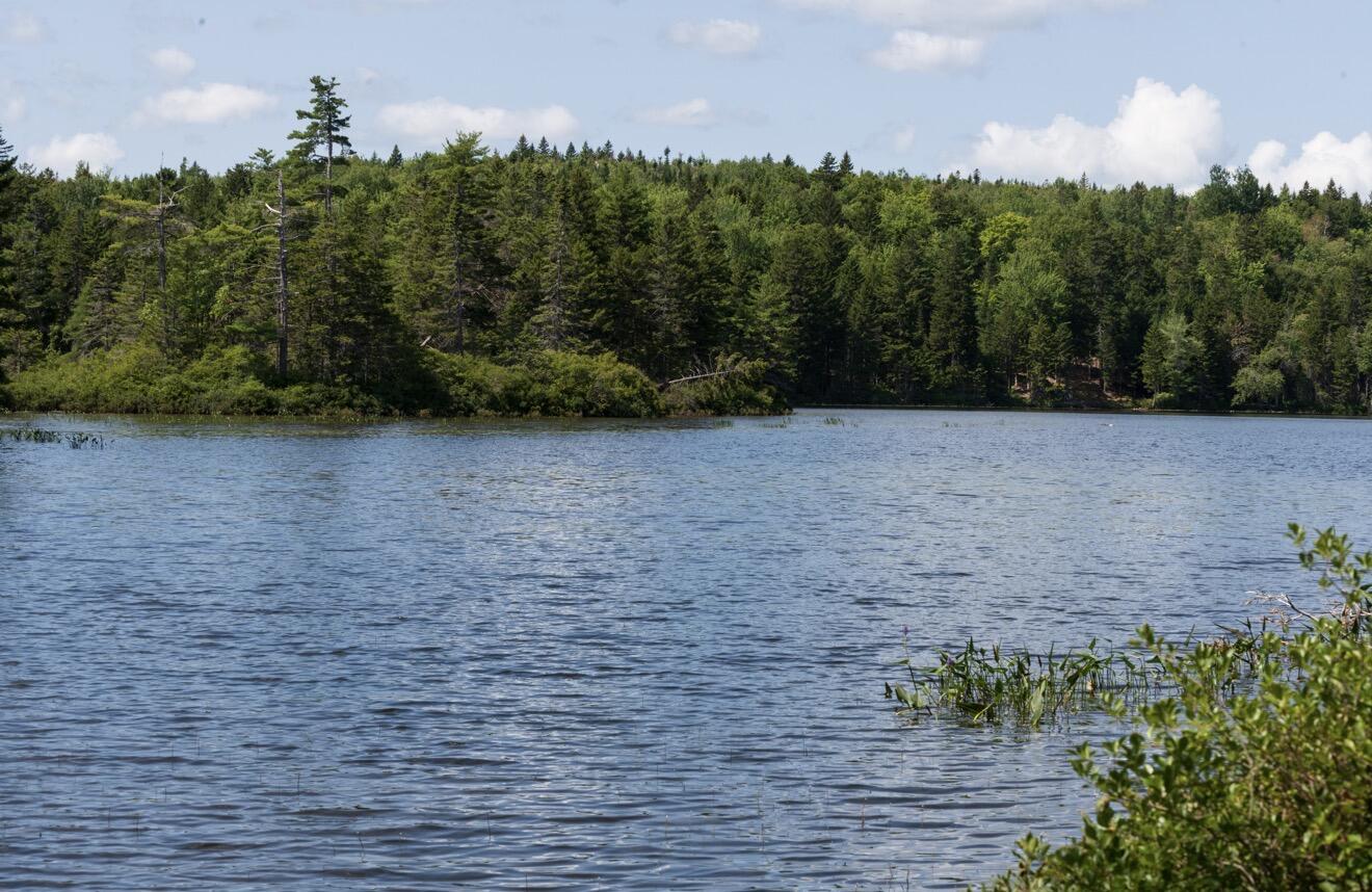 Lot 6 Goulding Lk Road Robbinston, ME 04671 - Photo 4 of 30 IMG_4209
