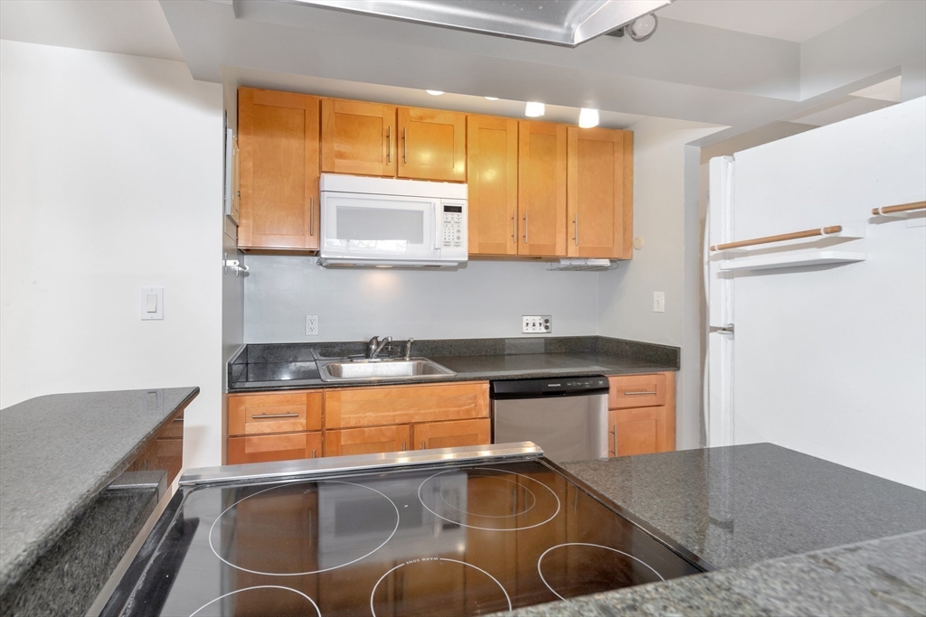 31 Harris Street, Unit 302 Brookline, MA 02446 - Photo 6 of 18