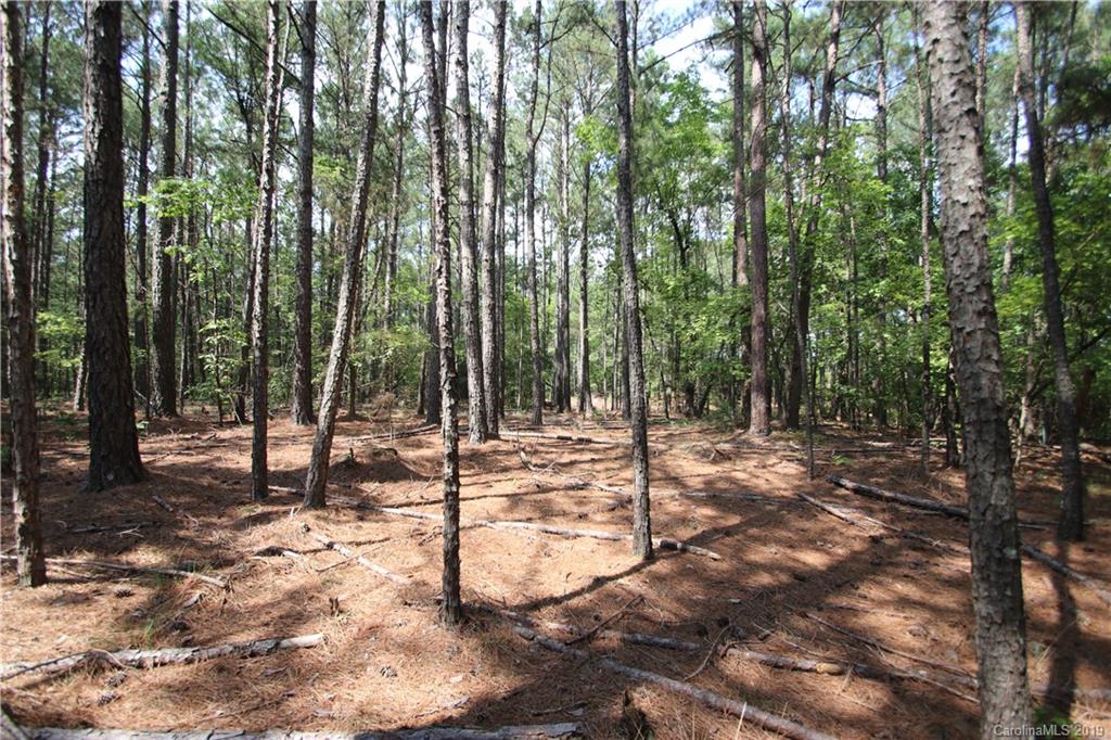 2620 Sojourn Road, Unit 2 Marshville, NC 28103 - Photo 23 of 26 Gallery Image 23