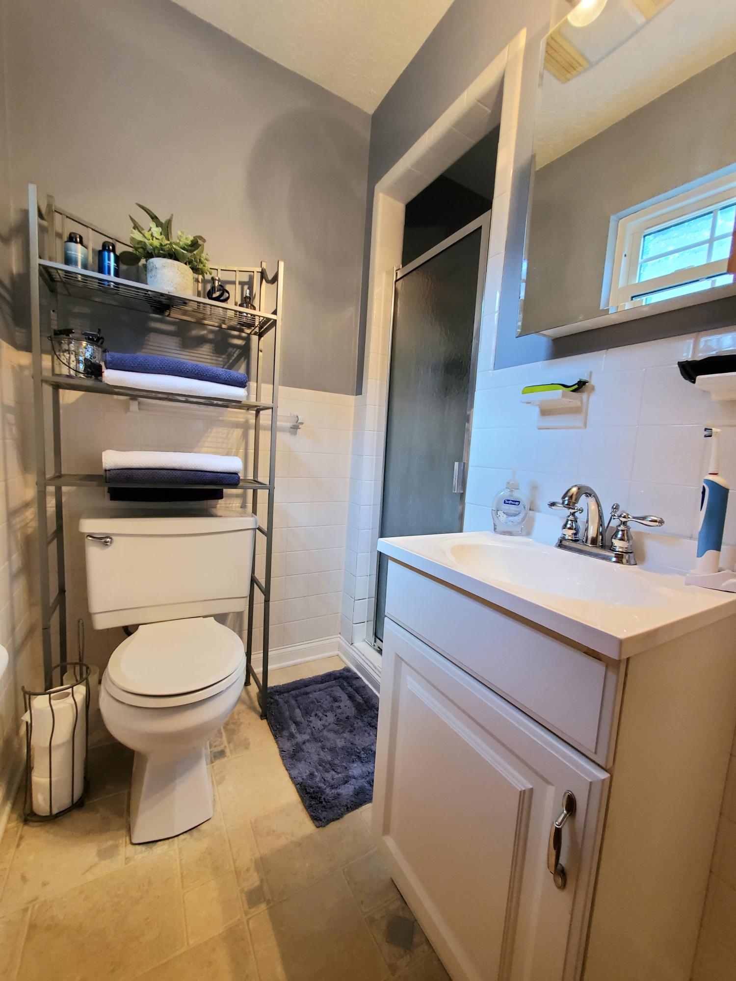 265 Iroquois Road Oak Ridge, TN 37830 - Photo 18 of 28 Master Bath