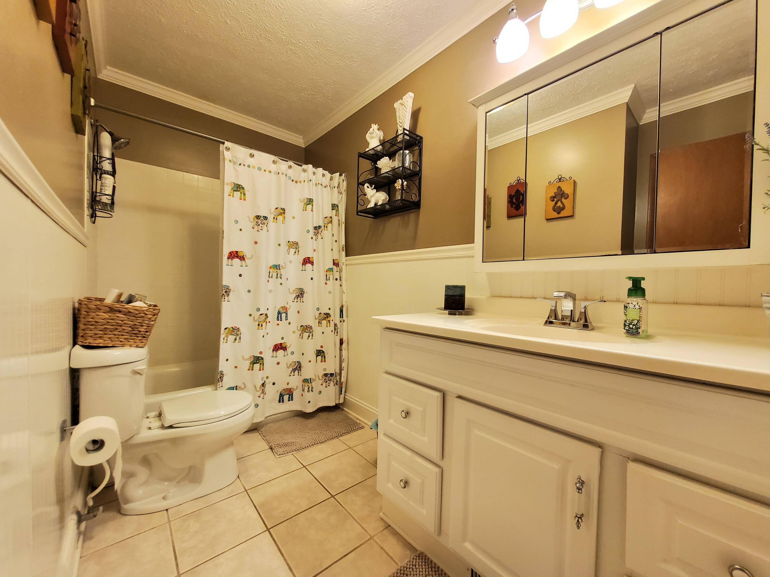 265 Iroquois Road Oak Ridge, TN 37830 - Photo 21 of 28 Bath