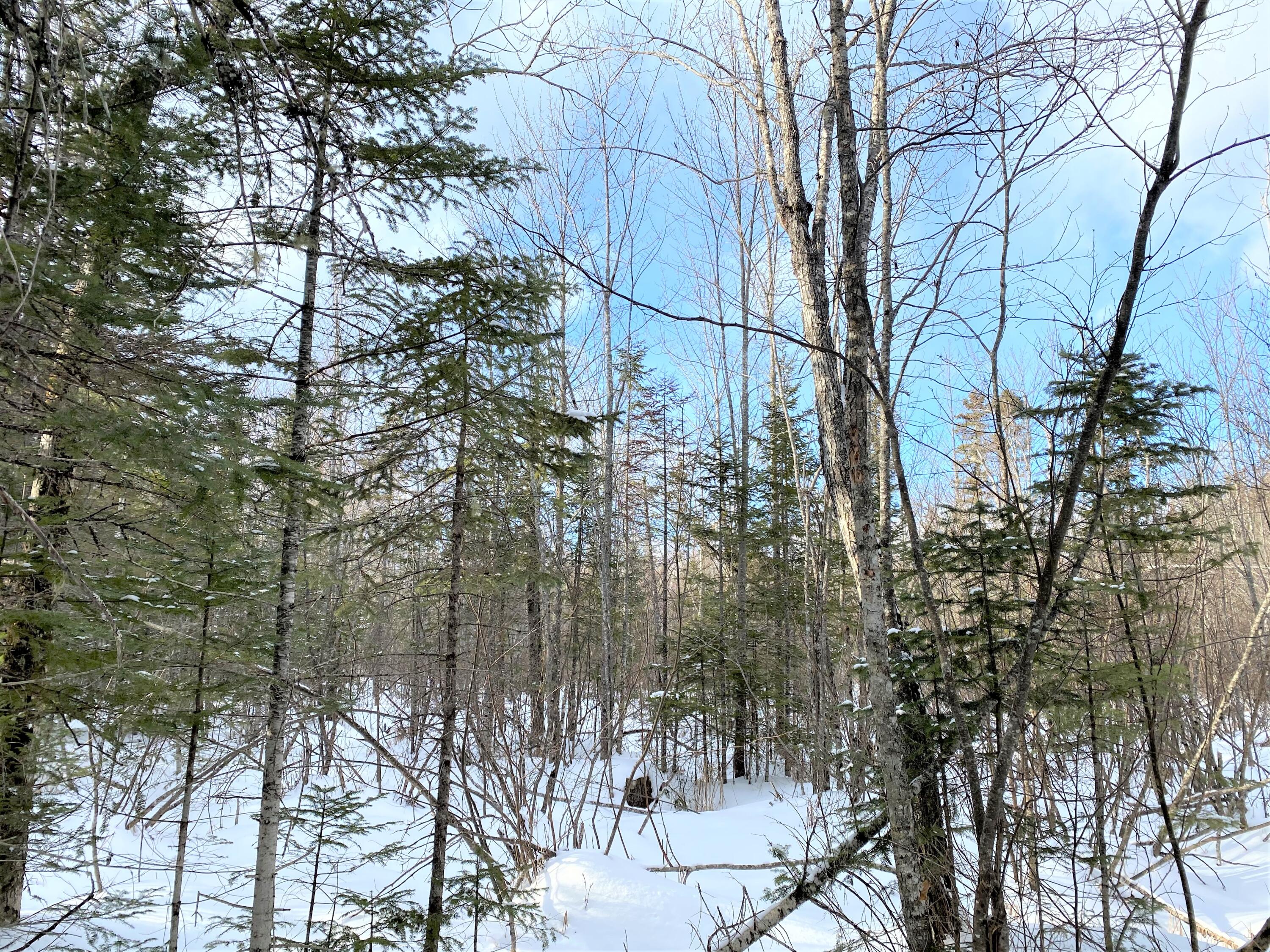 0 Fogg Brook Road Burlington, ME 04417 - Photo 17 of 25 IMG_2574
