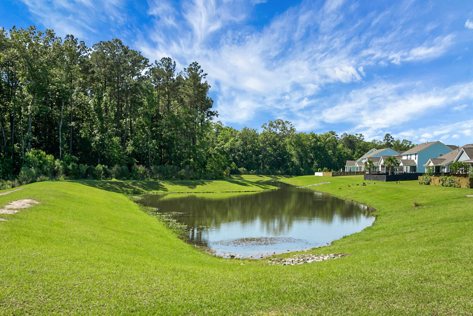 658 Black Pine Road Moncks Corner, SC 29461 - Photo 52 of 63 SMALL POND