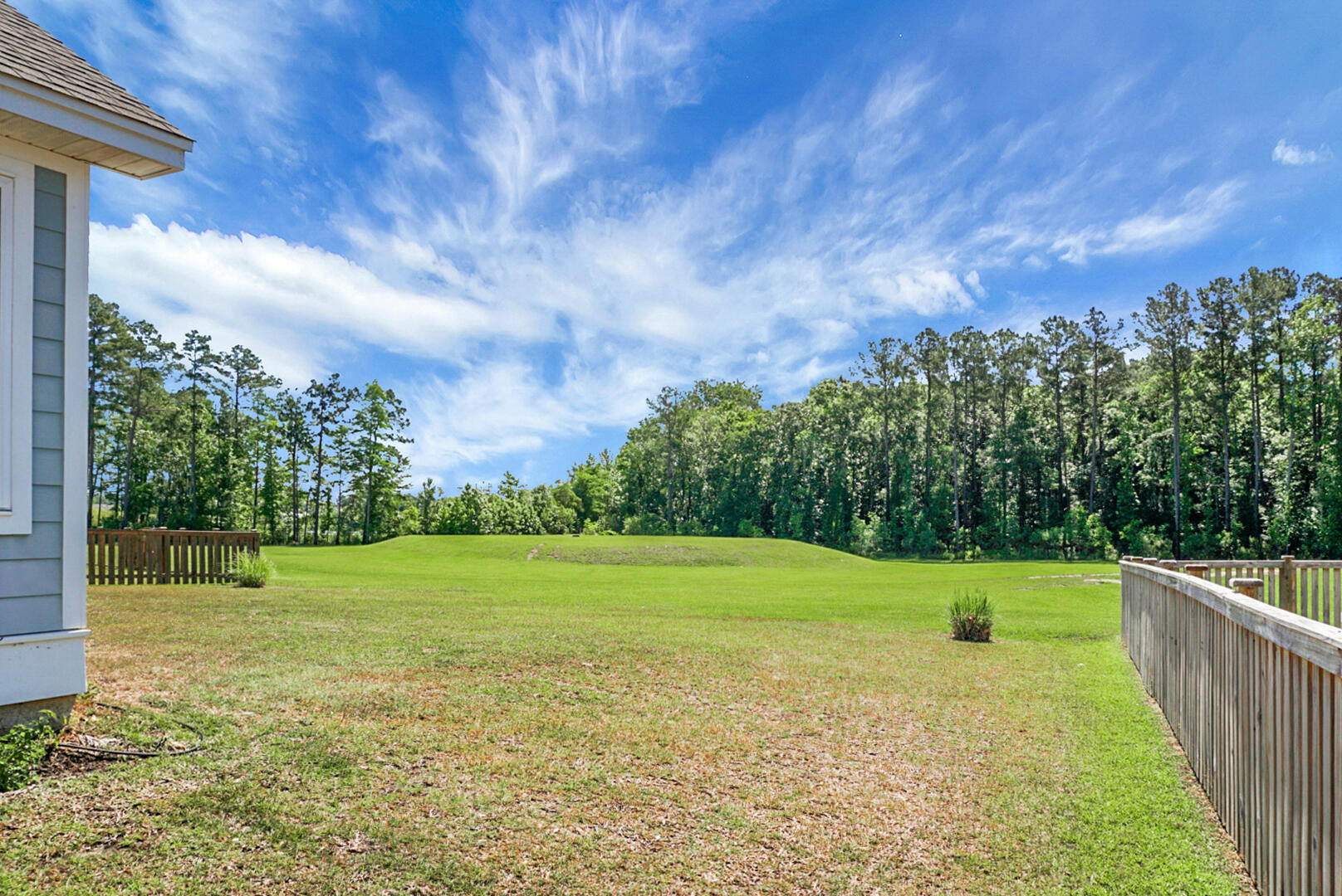 658 Black Pine Road Moncks Corner, SC 29461 - Photo 54 of 63 TIME TO BBQ