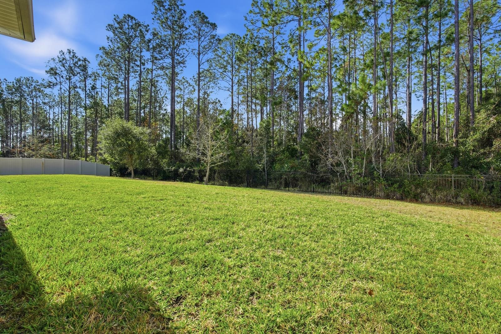 170 Antolin Way St. Augustine, FL 32095 - Photo 54 of 85 a view of outdoor space with a garden