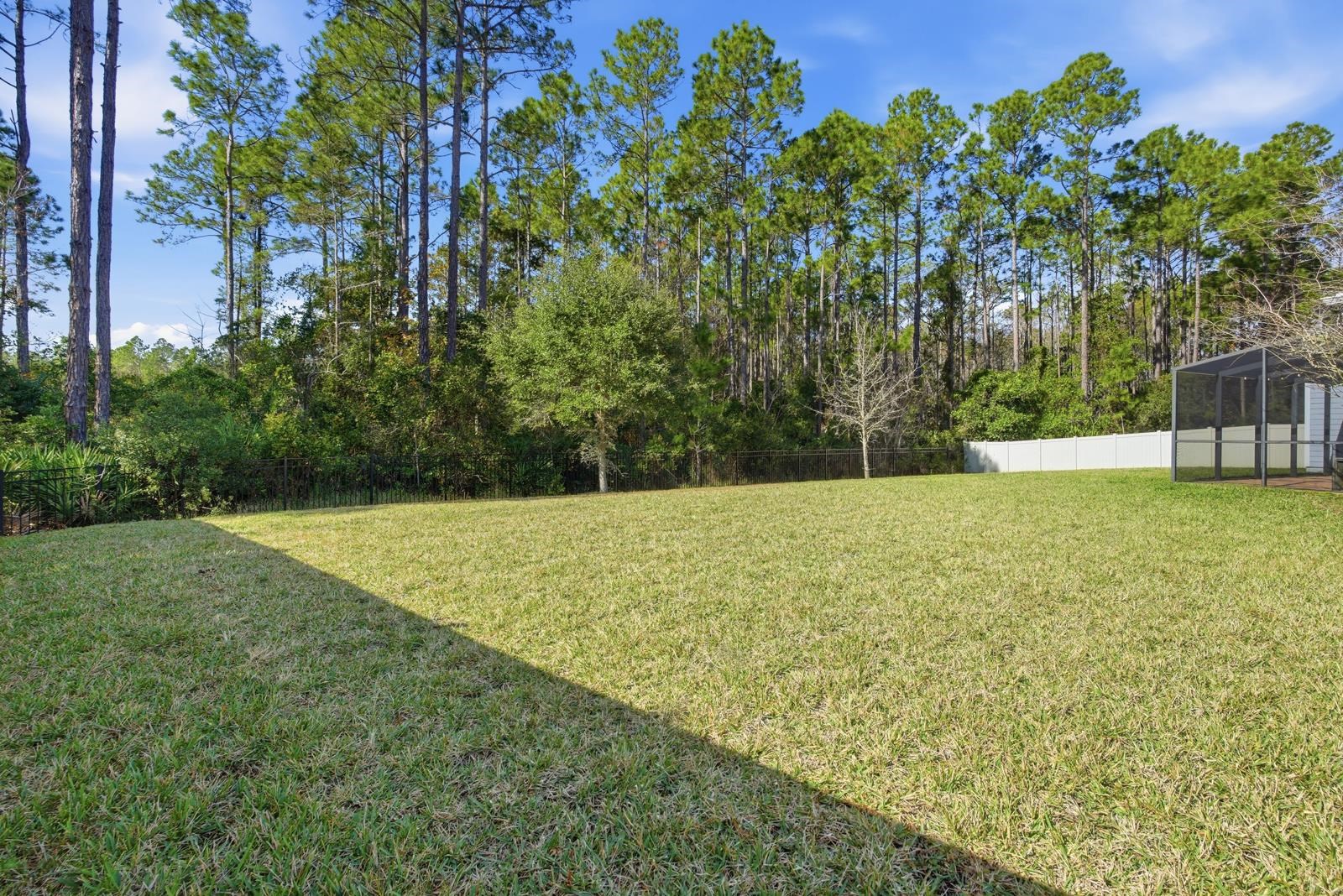 170 Antolin Way St. Augustine, FL 32095 - Photo 55 of 85 a view of yard with swimming pool and trees