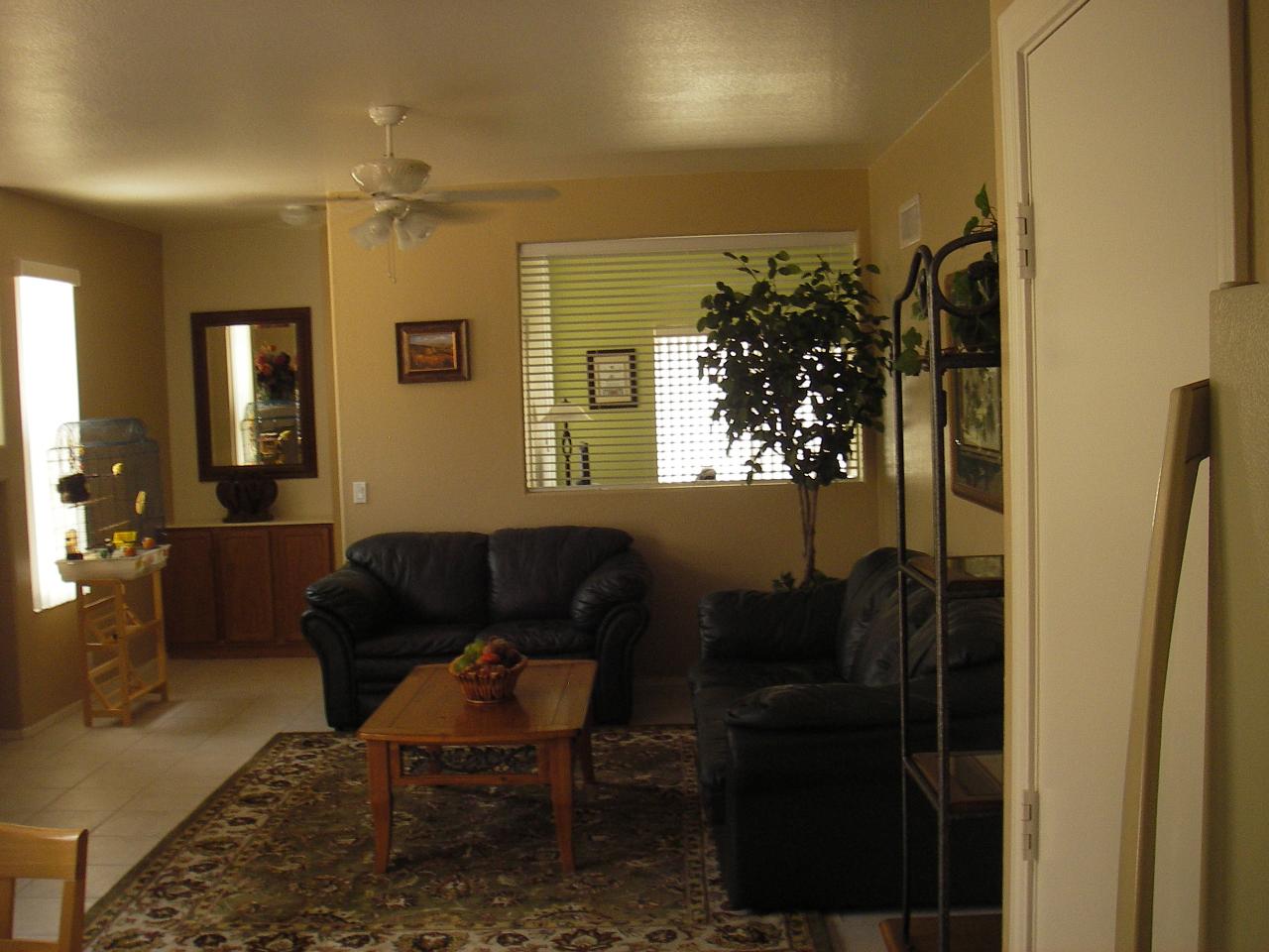 4054 East Agave Road Phoenix, AZ 85044 - Photo 3 of 7 a living room with furniture and a potted plant