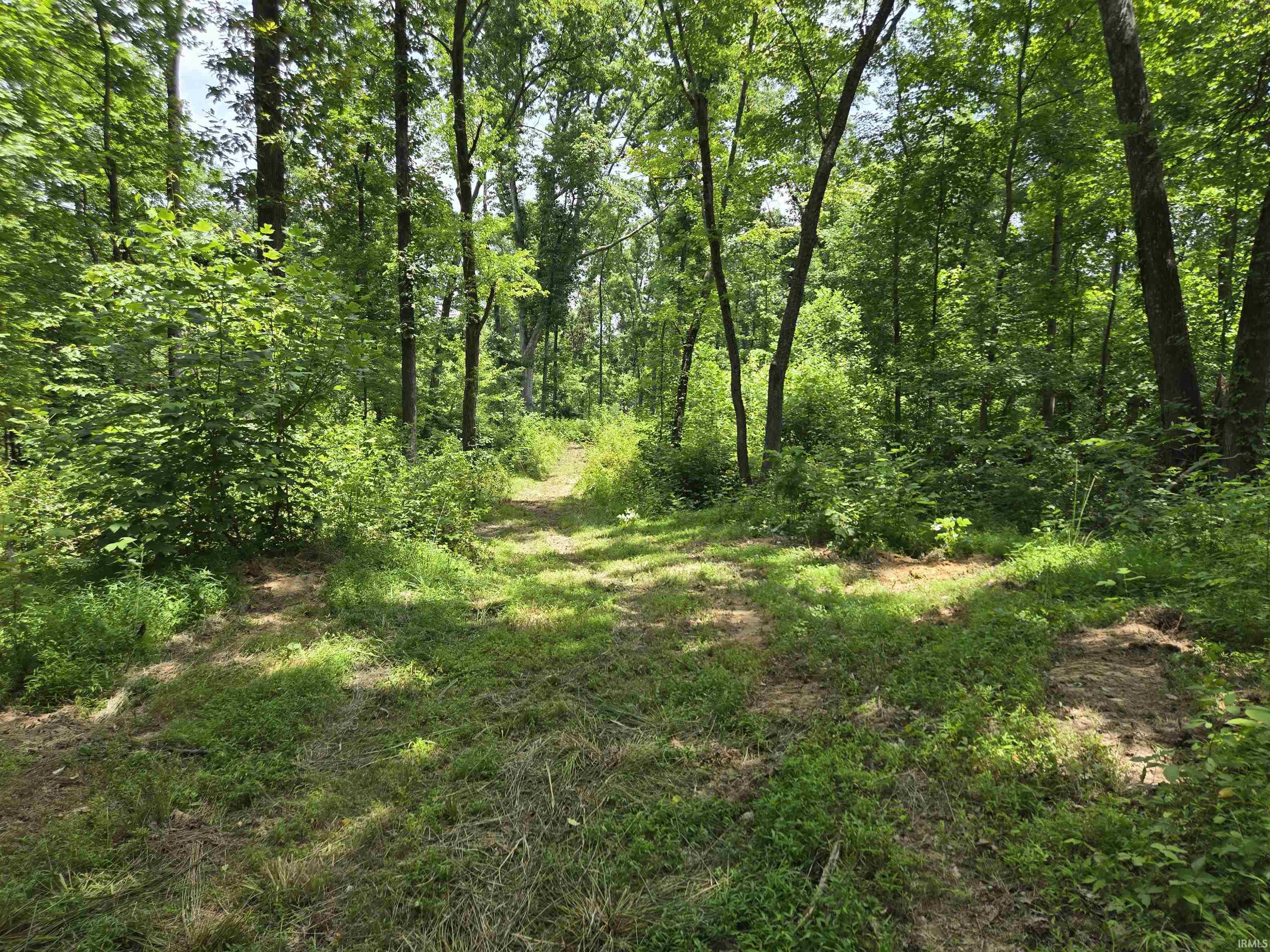 4522 McNeely Road Tennyson, IN 47637 - Photo 11 of 11 Gallery Image 11