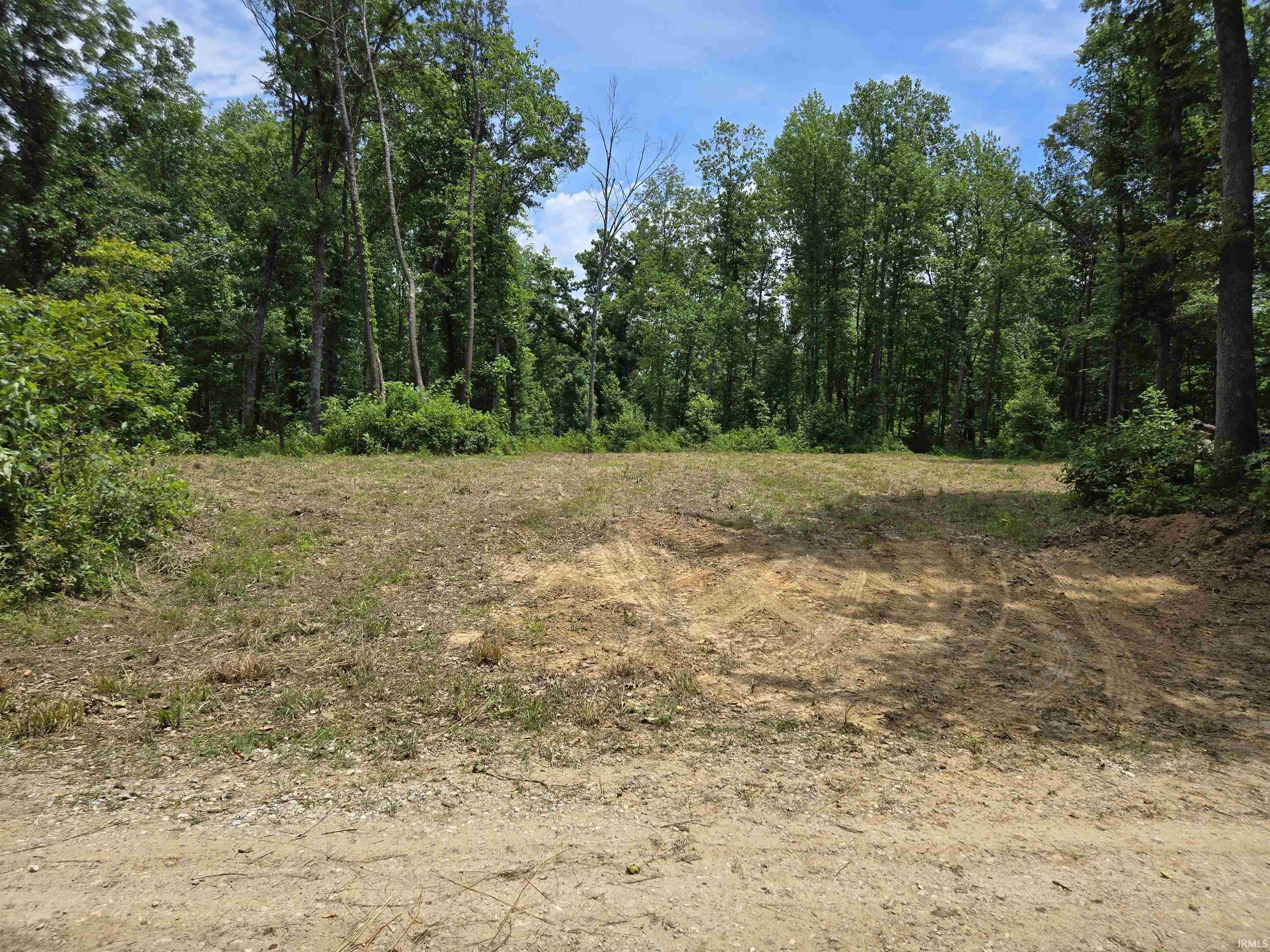 4522 McNeely Road Tennyson, IN 47637 - Photo 2 of 11 Gallery Image 2