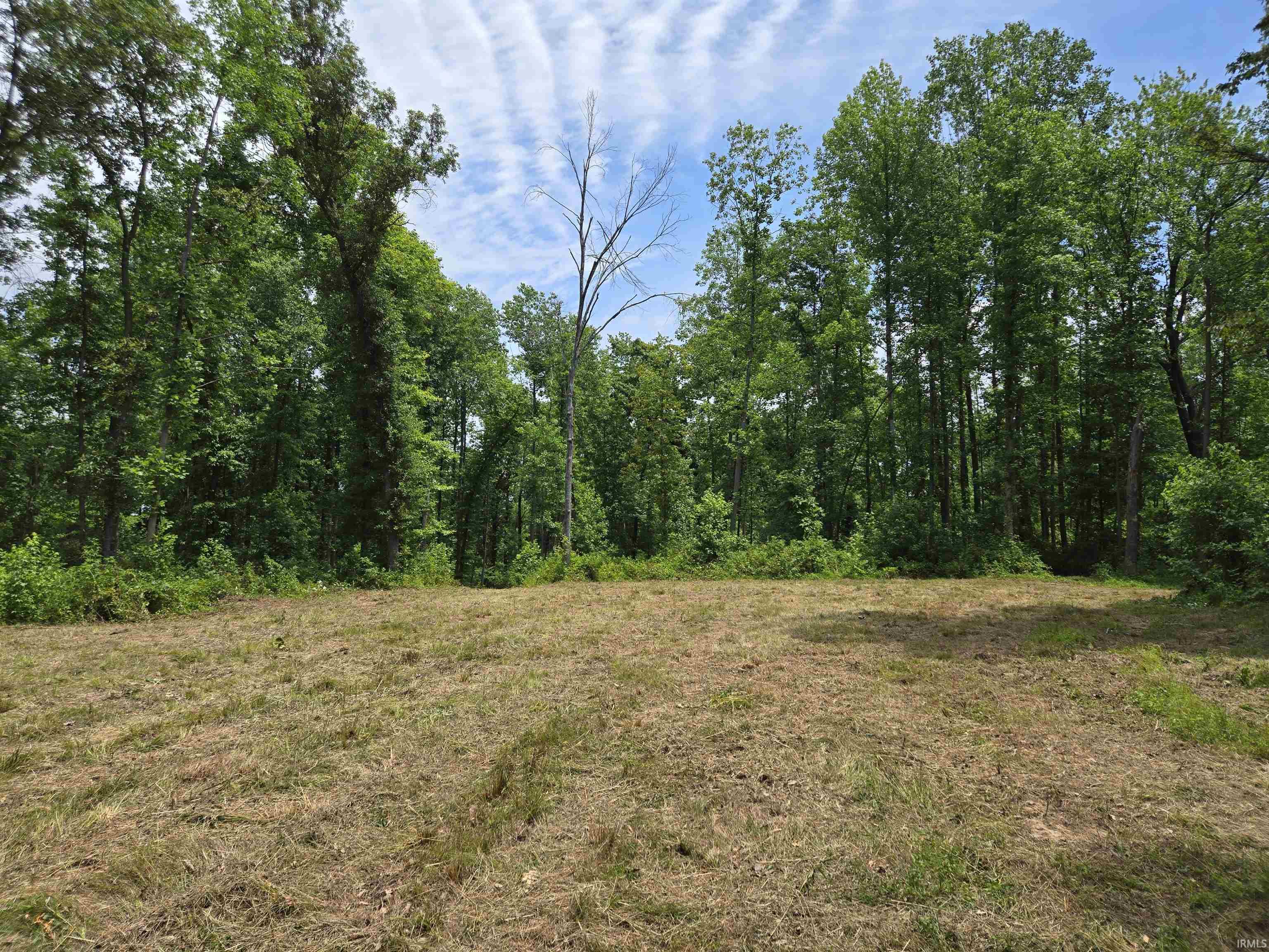 4522 McNeely Road Tennyson, IN 47637 - Photo 5 of 11 Gallery Image 5