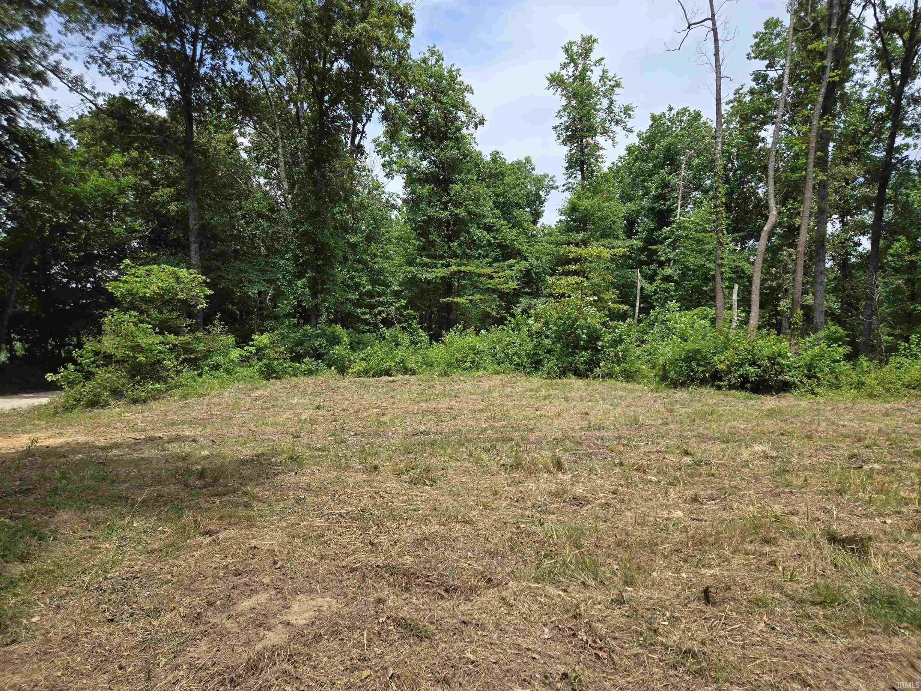 4522 McNeely Road Tennyson, IN 47637 - Photo 6 of 11 Gallery Image 6