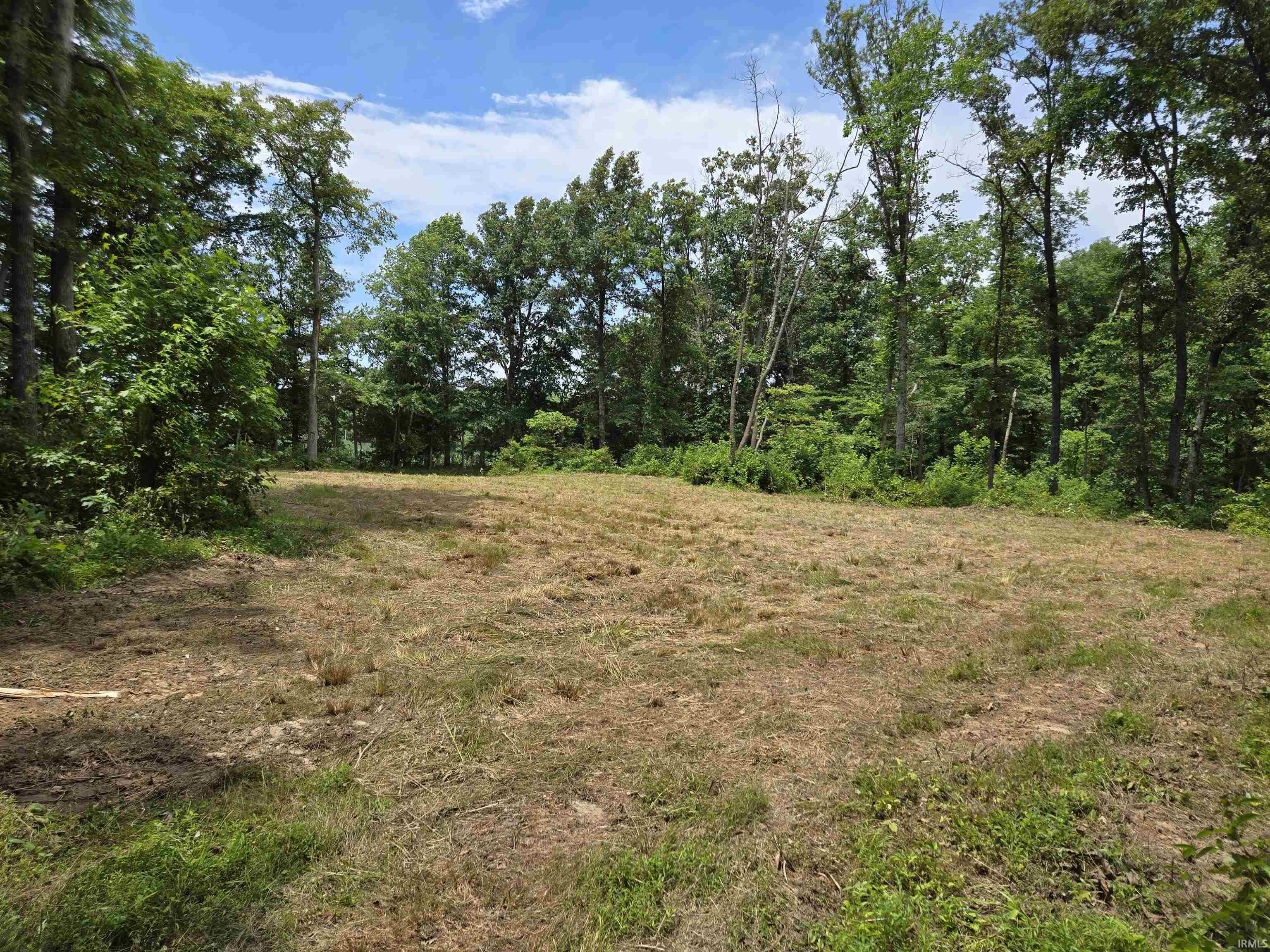 4522 McNeely Road Tennyson, IN 47637 - Photo 7 of 11 Gallery Image 7