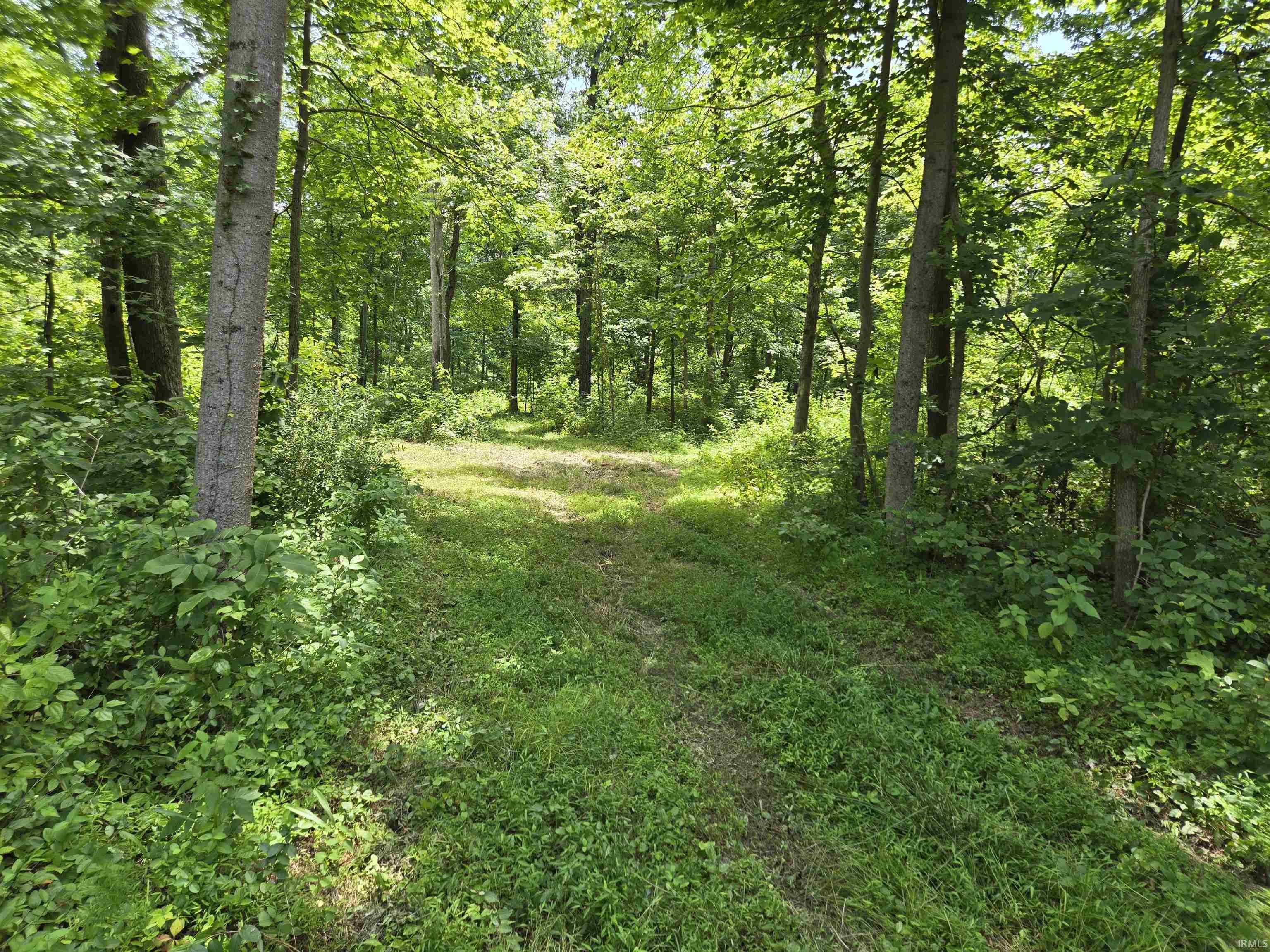 4522 McNeely Road Tennyson, IN 47637 - Photo 8 of 11 Gallery Image 8