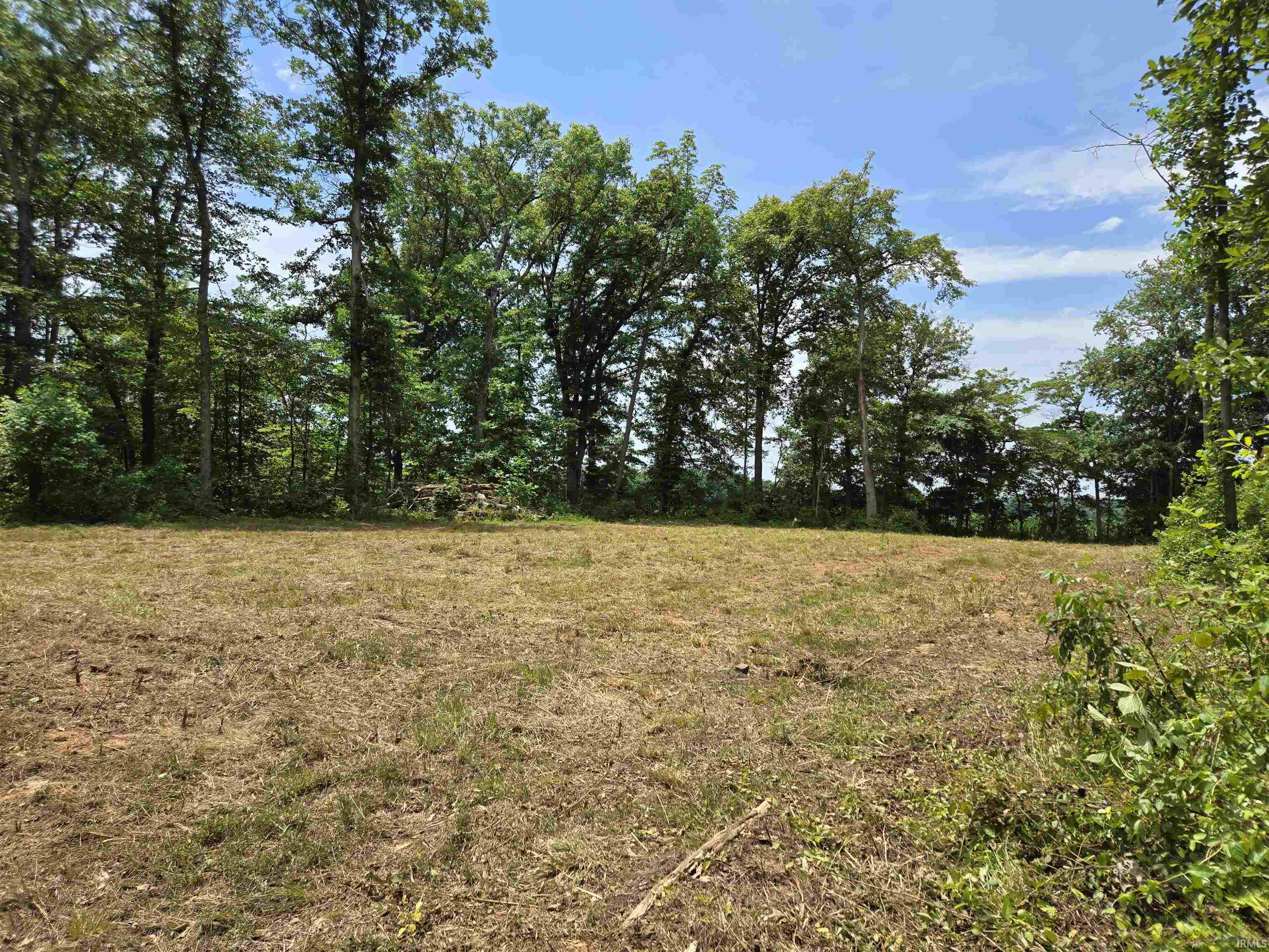 4522 McNeely Road Tennyson, IN 47637 - Photo 9 of 11 Gallery Image 9