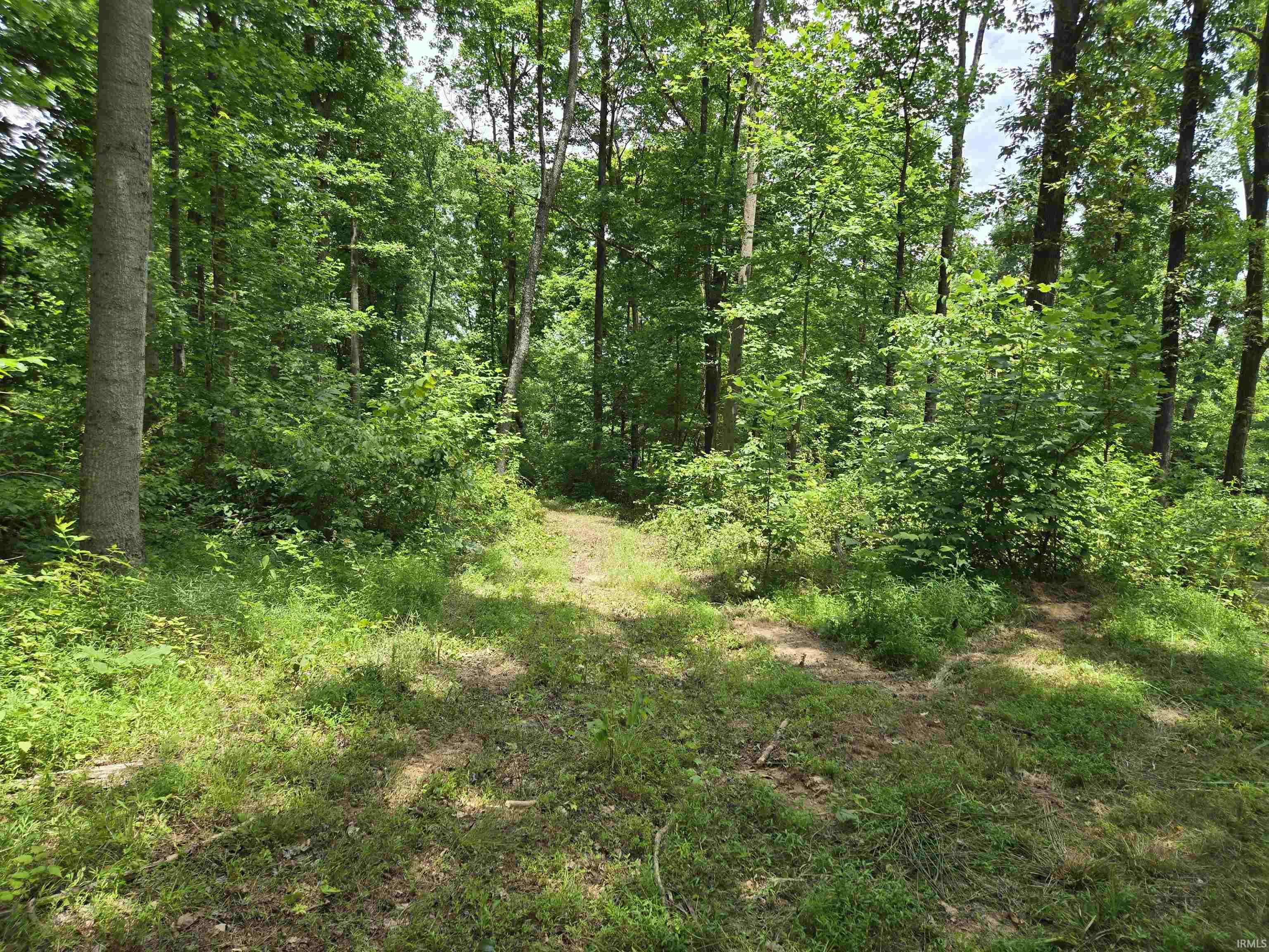 4522 McNeely Road Tennyson, IN 47637 - Photo 10 of 11 Gallery Image 10
