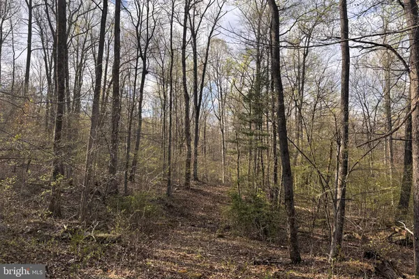 $299,000 | Padua, Sperryville, VA 22740