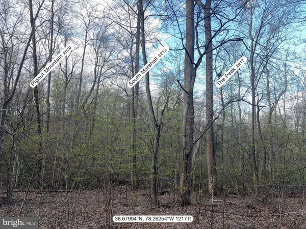 a backyard of a house with lots of trees