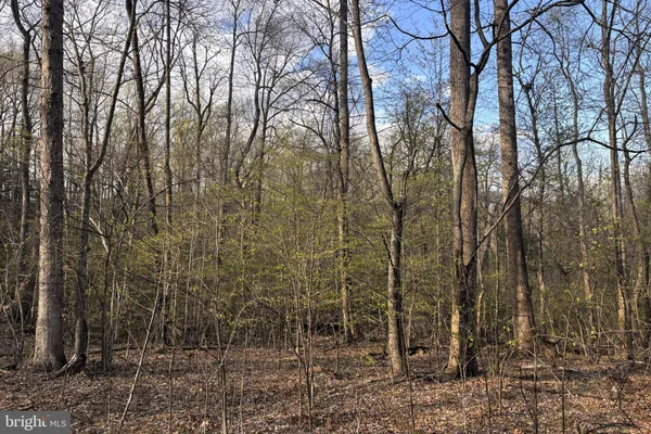 a view of backyard with green space