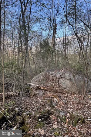 a picture of lots of trees and covered with wooden fence