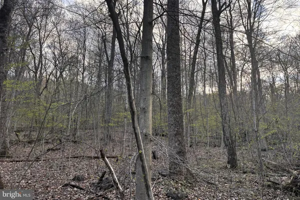 $299,000 | Padua, Sperryville, VA 22740