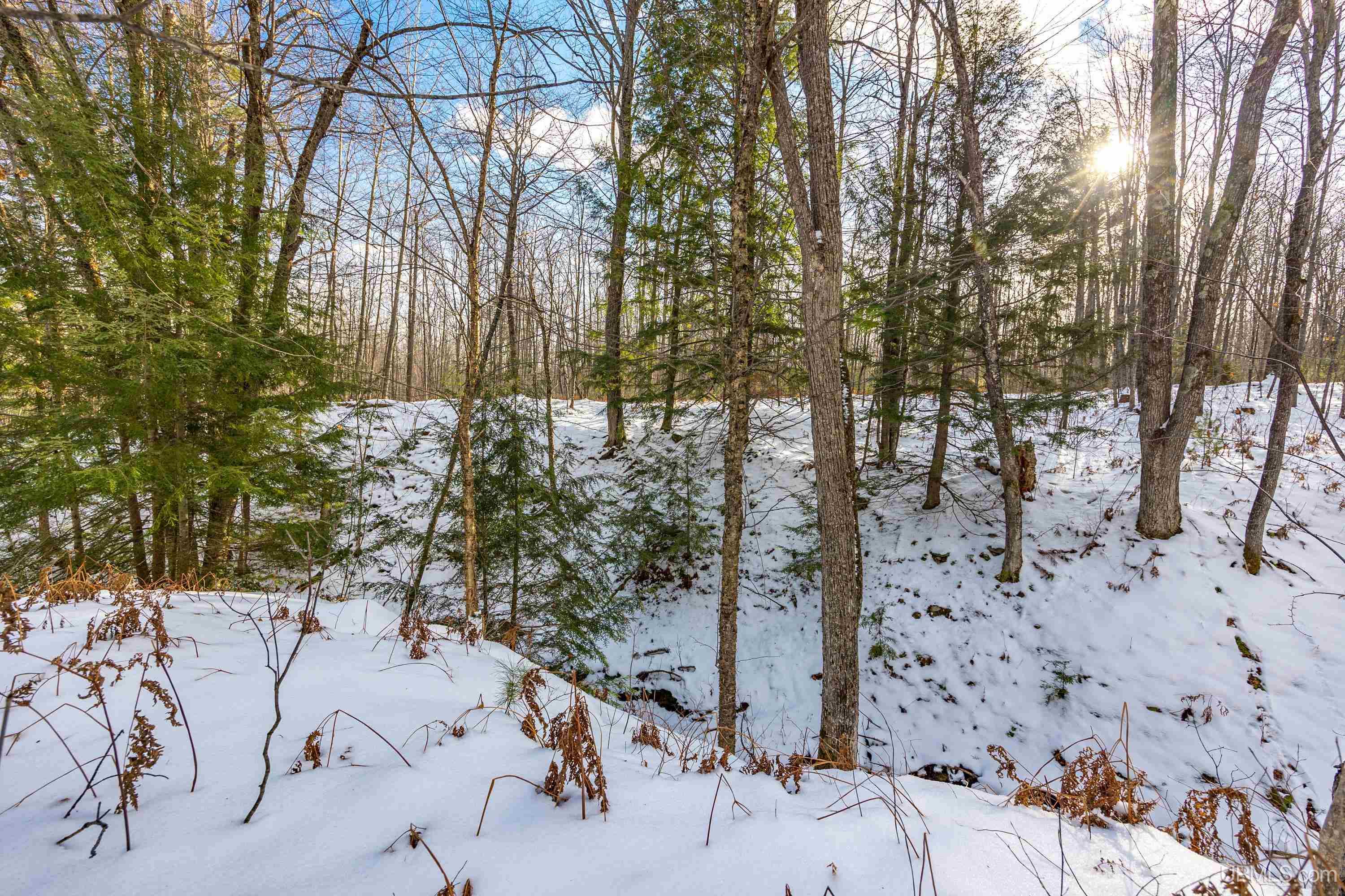 Tbd Lehtola Road Chassell, MI 49916 - Photo 33 of 59 Gallery Image 33