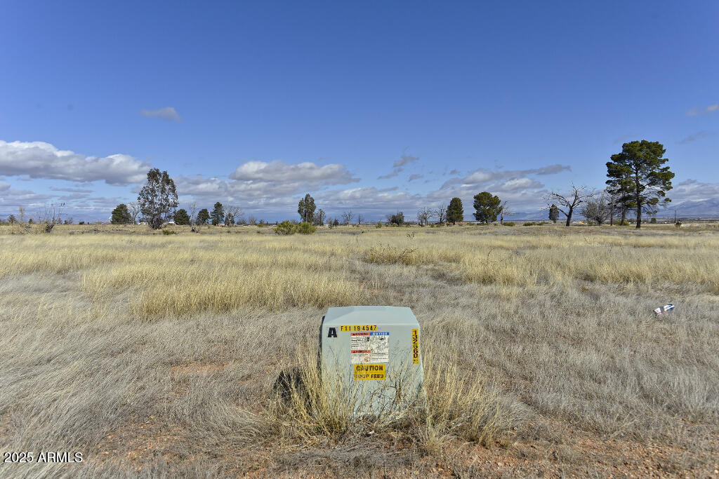 a view of a dry yard with trees