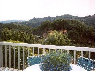 100 Underhill Road Mill Valley, CA 94941 - Photo 5 of 8 Gallery Image 5