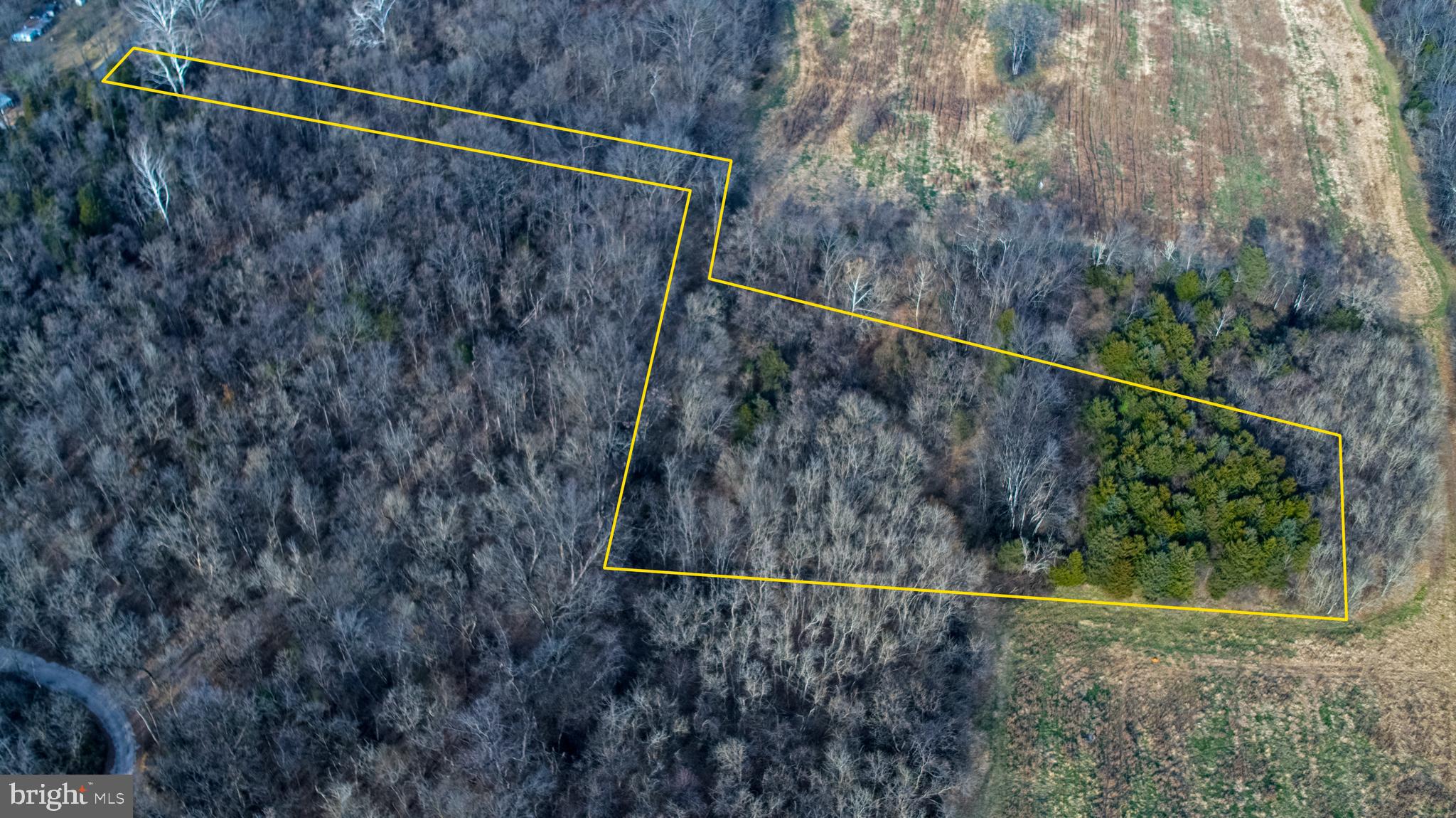 8045 Avis Mill Road Williamsport, MD 21795 - Photo 5 of 17