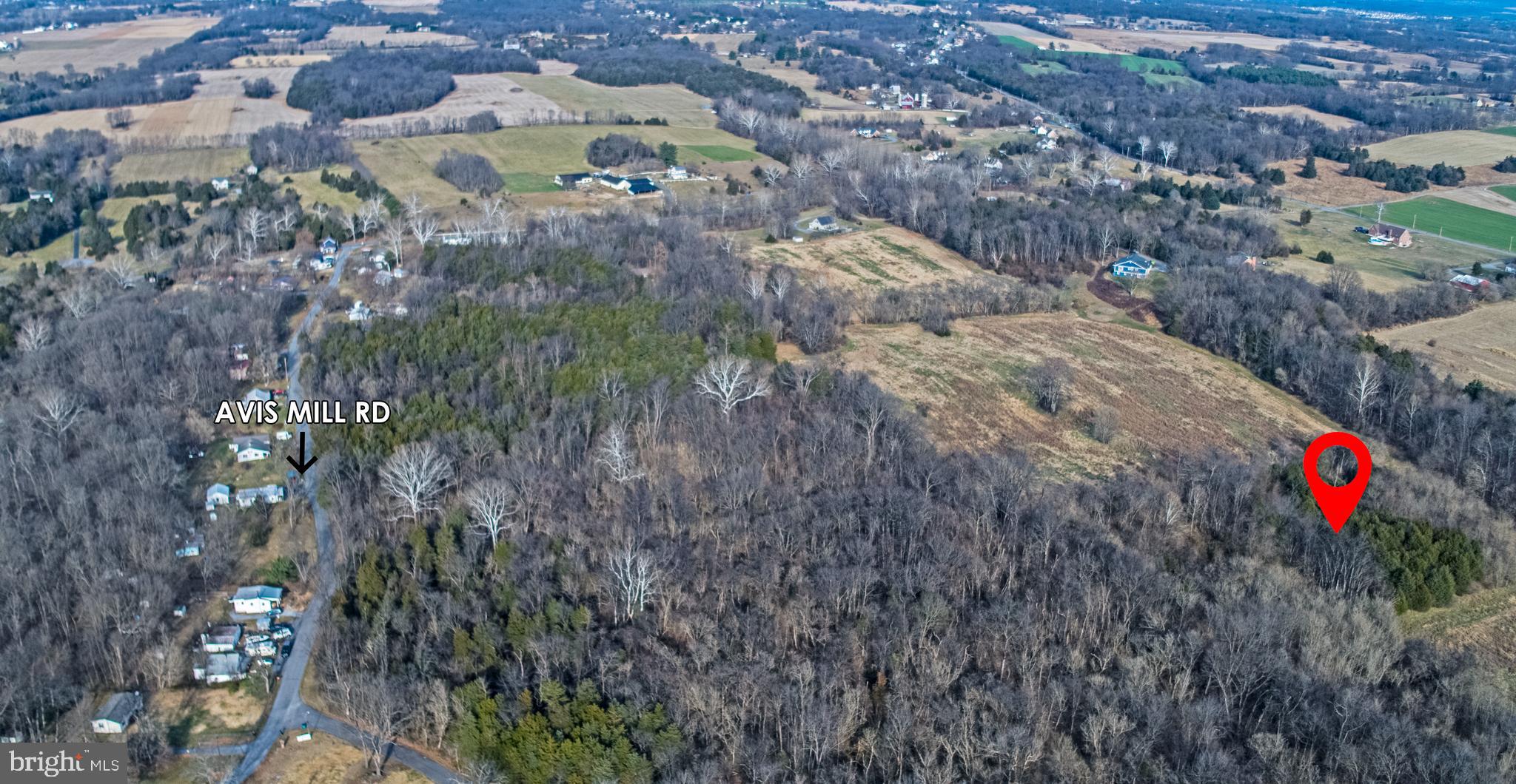 8045 Avis Mill Road Williamsport, MD 21795 - Photo 9 of 17