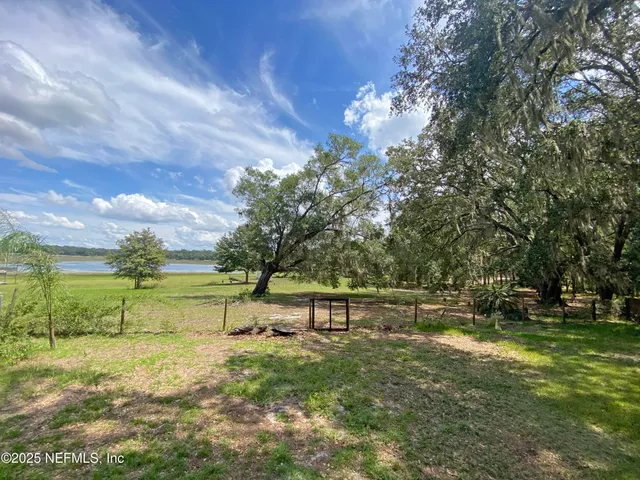 a view of a park with large trees