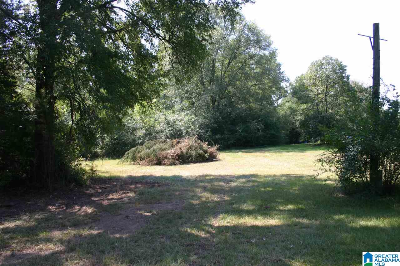 Gallman Lane Talladega, AL 35160 - Photo 4 of 19