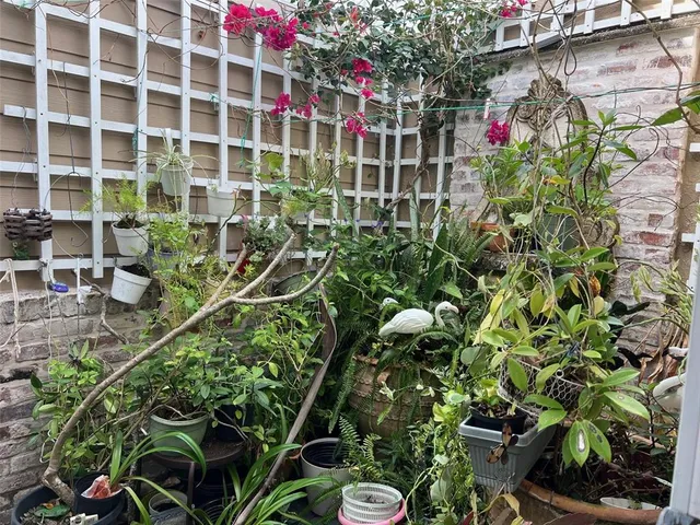 a view of a flower garden