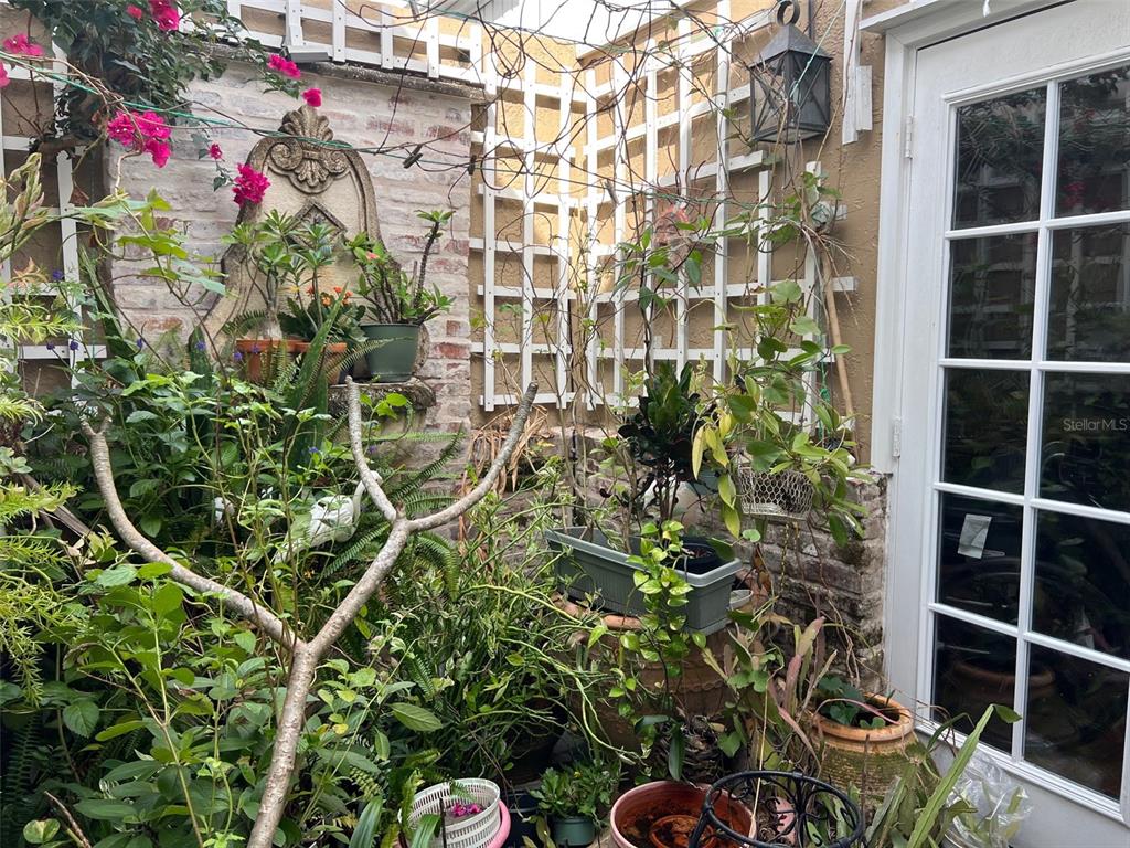 2833 Orange Tree Circle North, Unit C Palm Harbor, FL 34684 - Photo 16 of 33