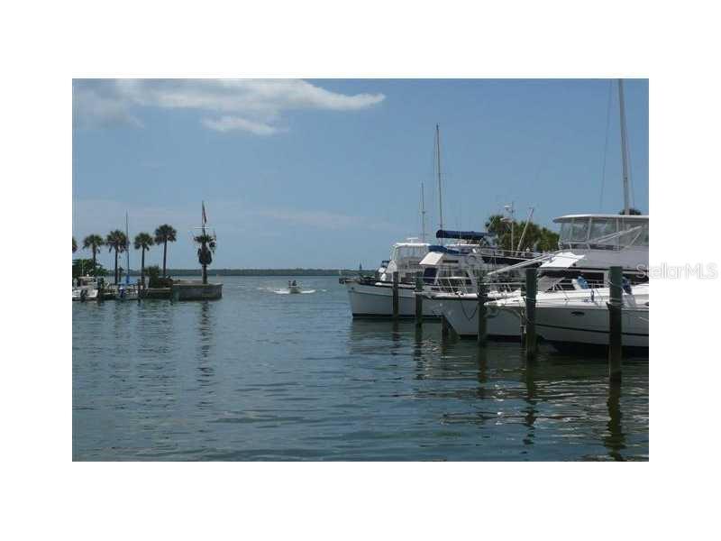 2833 Orange Tree Circle North, Unit C Palm Harbor, FL 34684 - Photo 32 of 33