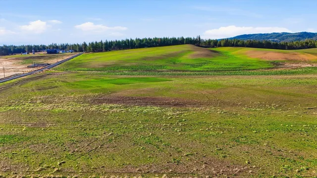 $249,500 | 15007 East Belmont Road, Mica, WA 99023