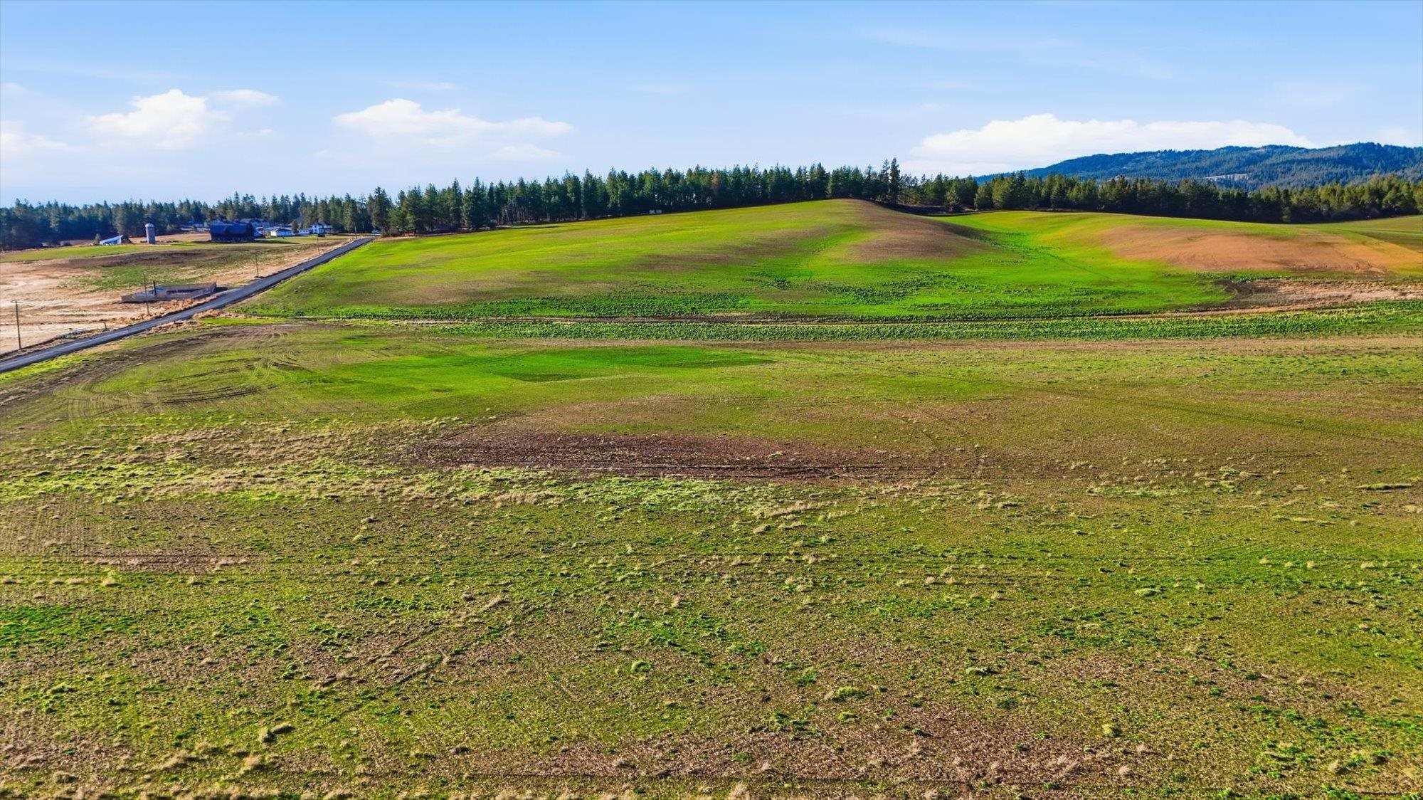 15007 East Belmont Road Mica, WA 99023 - Photo 1 of 25