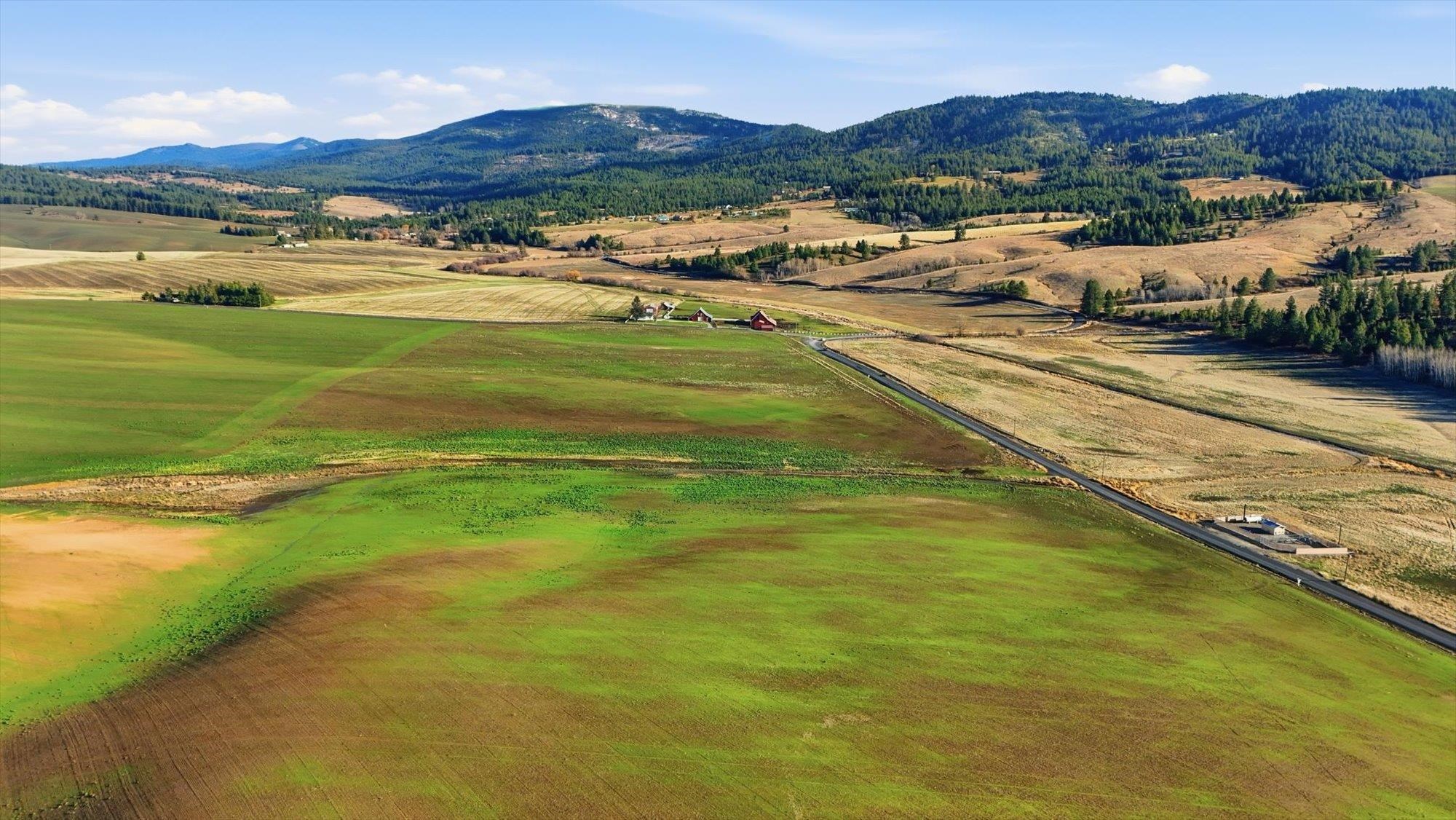 15007 East Belmont Road Mica, WA 99023 - Photo 11 of 25