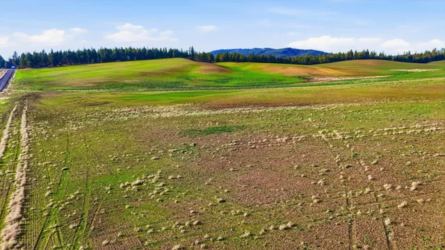 $249,500 | 15007 East Belmont Road, Mica, WA 99023