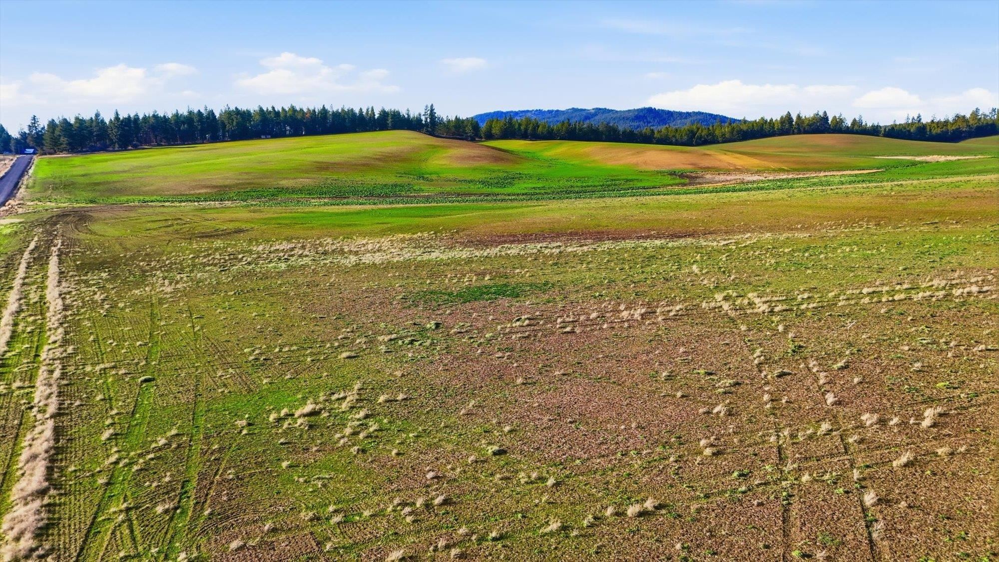 15007 East Belmont Road Mica, WA 99023 - Photo 12 of 25