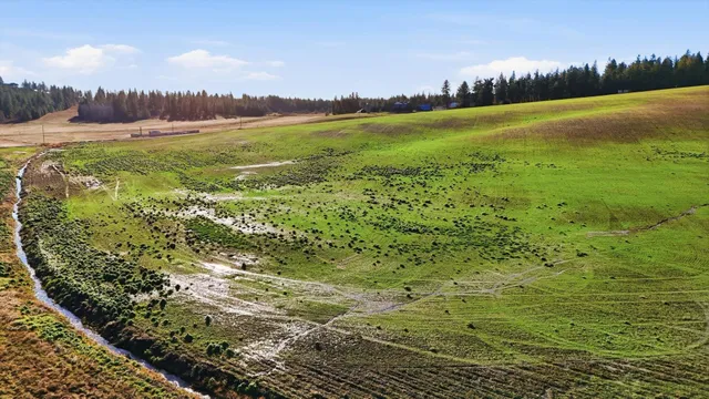 $249,500 | 15007 East Belmont Road, Mica, WA 99023