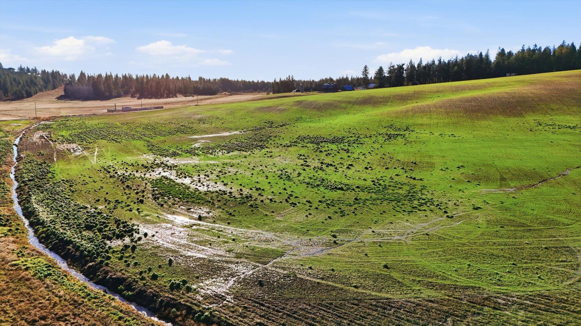 15007 East Belmont Road Mica, WA 99023 - Photo 13 of 25
