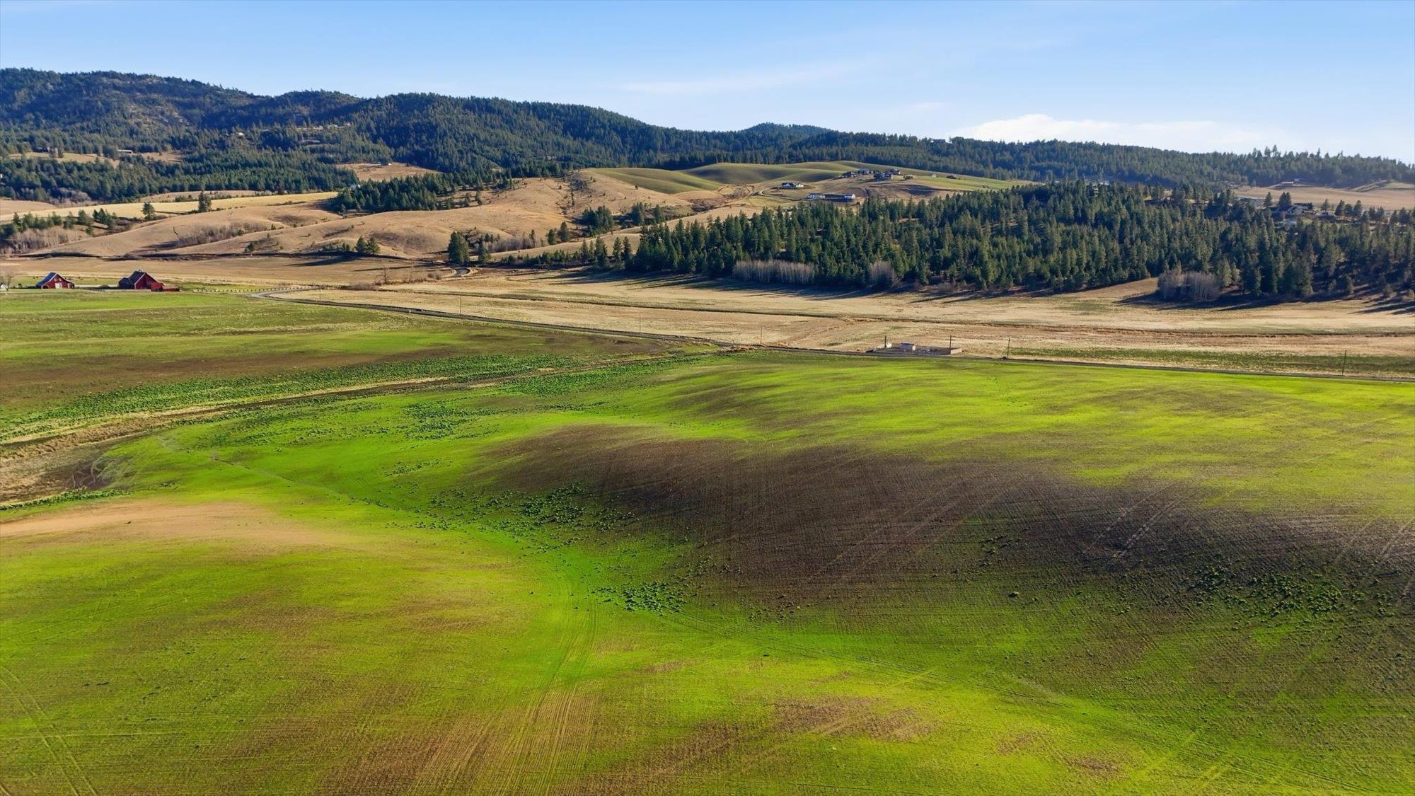 15007 East Belmont Road Mica, WA 99023 - Photo 17 of 25