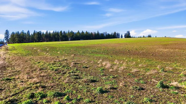 $249,500 | 15007 East Belmont Road, Mica, WA 99023