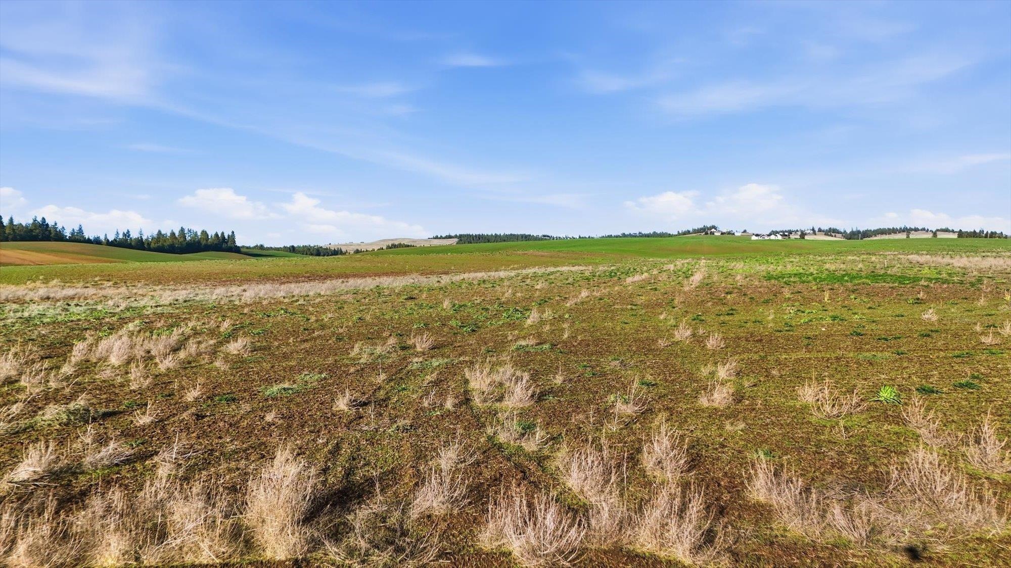15007 East Belmont Road Mica, WA 99023 - Photo 19 of 25
