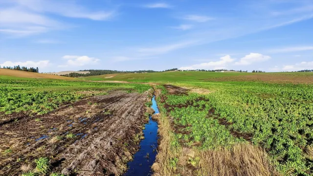 $249,500 | 15007 East Belmont Road, Mica, WA 99023