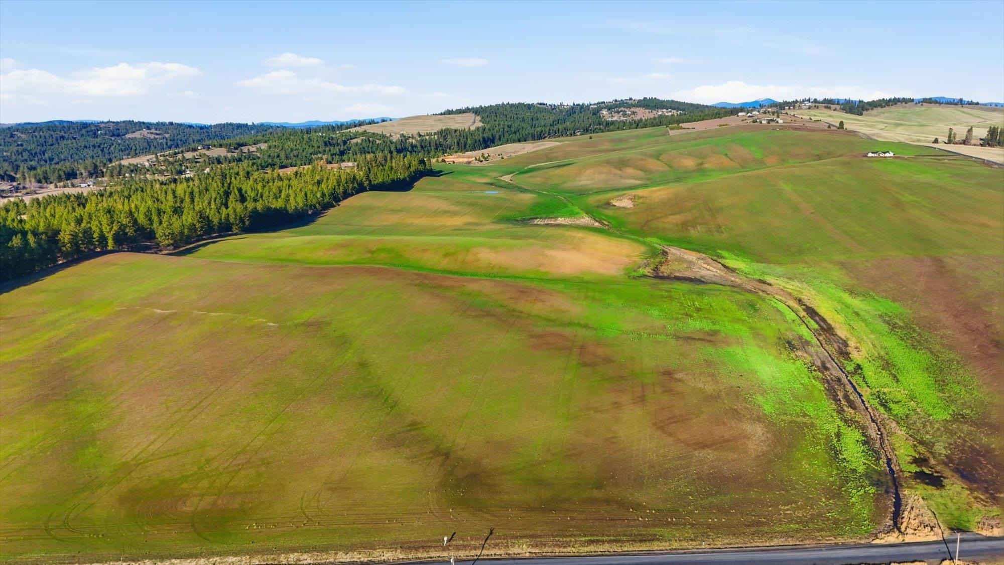 15007 East Belmont Road Mica, WA 99023 - Photo 2 of 25