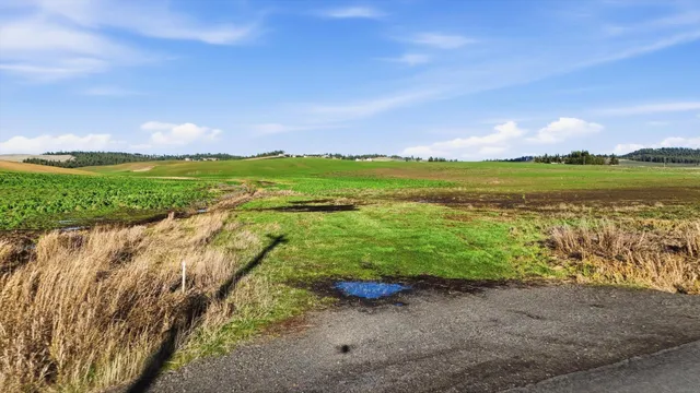 $249,500 | 15007 East Belmont Road, Mica, WA 99023