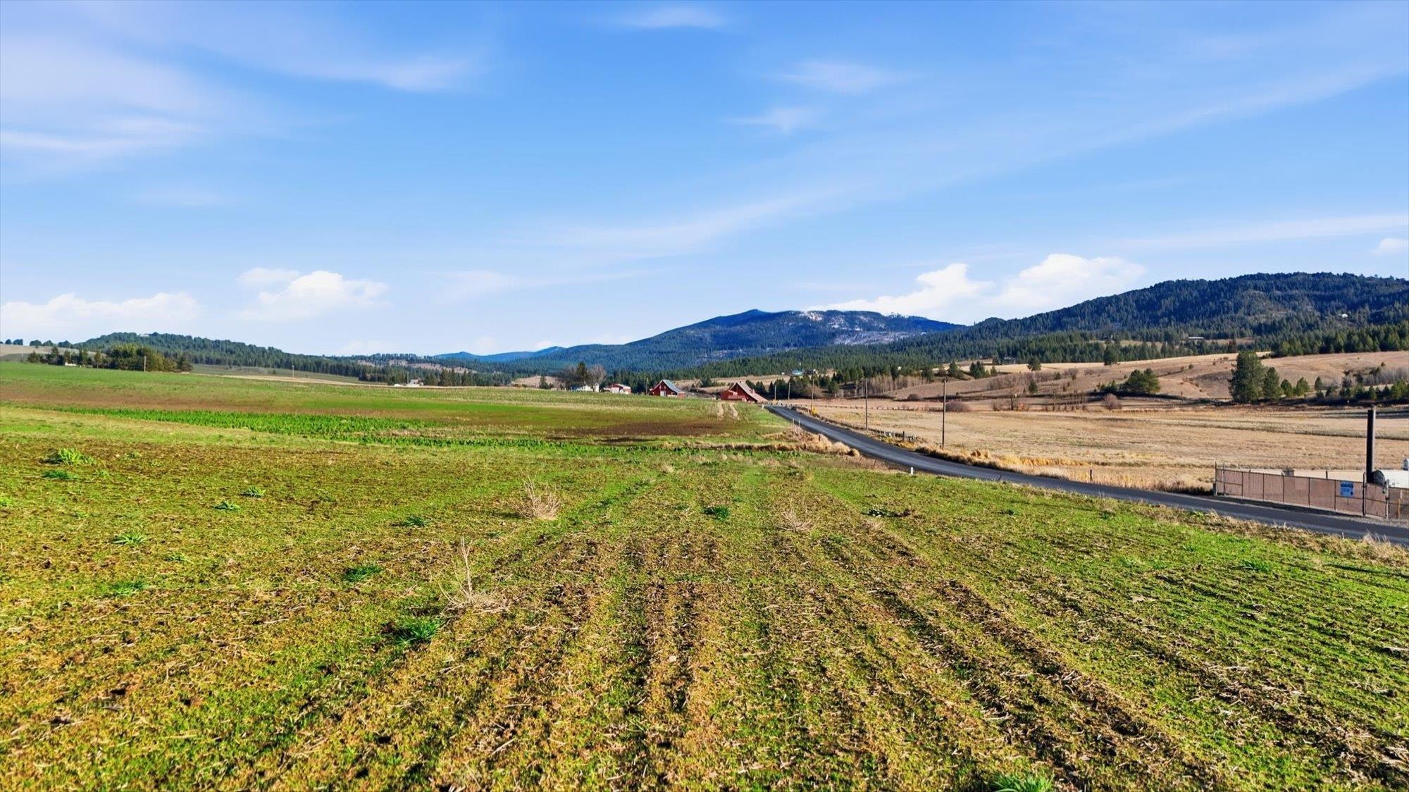15007 East Belmont Road Mica, WA 99023 - Photo 25 of 25